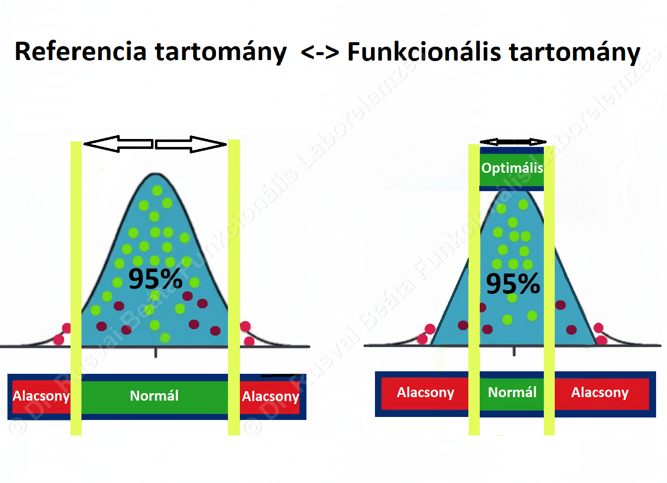 Funkcionális és referencia tartomány összehasonlítása – a laboreredmények értelmezése a normál és az optimális értékek alapján, haranggörbékkel szemléltetve.<br />
